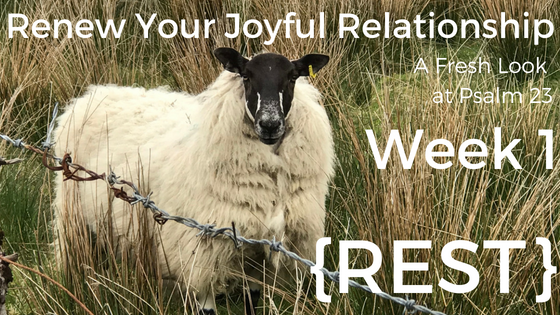 Renew Your Joyful Relationship: A Fresh Look at Psalm 23 | Week 1 {Rest}