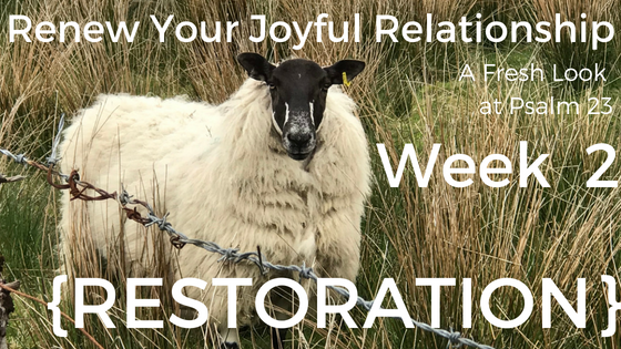 Renew Your Joyful Relationship: A Fresh Look at Psalm 23 Week 2 {Restoration}