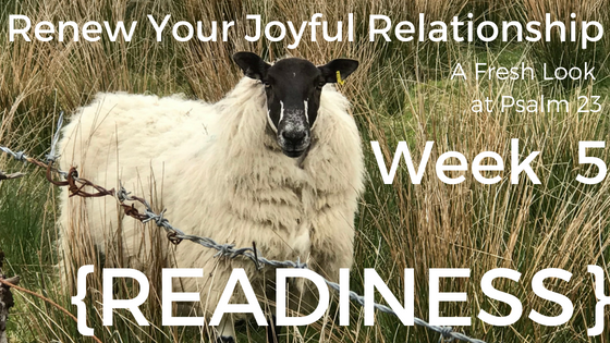 Renew Your Joyful Relationship: A Fresh Look at Psalm 23 Week 5 {Readiness}